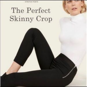 Everlane Black Ponte Crop Pant Size 8